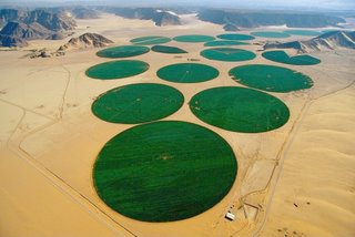 Agriculture-irrigation-wadi-rum en Jordanie (YA Bertrand).jpg