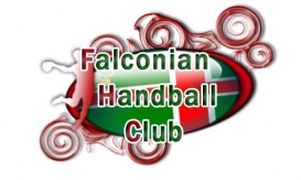 Falconianhandbalclub.jpeg