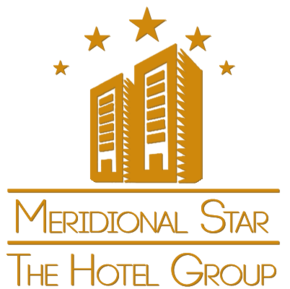 Meridional Star Logo.png