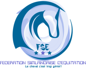 Logo FSE.png