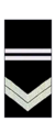 Police-leading-senior-constable.png