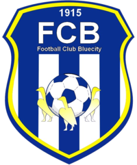 Bluecity FC.png