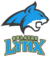 US-Football-Lynx.png