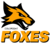 US-Football-Foxes.png