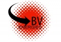 Bvenergies logo.jpg