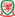Football Association of Wales logo.svg.png