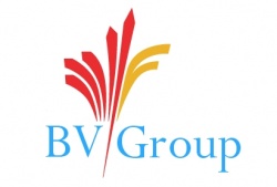 Logo bvgroup.jpg