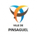 Logopinsaguel.jpg