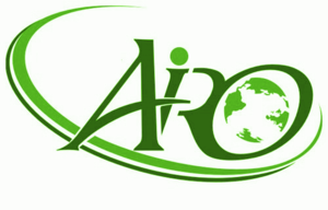 Logo.Airo.png